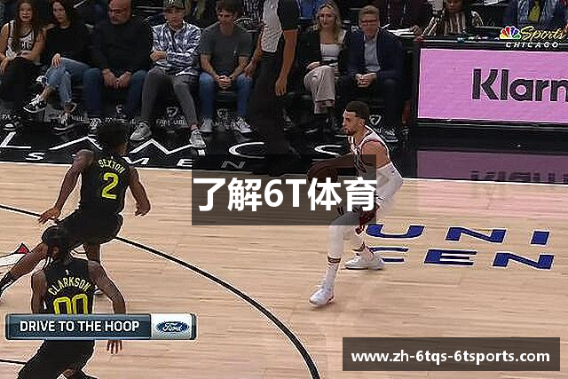 了解6T体育